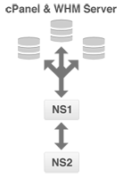 cPanel DNS Only Cluster